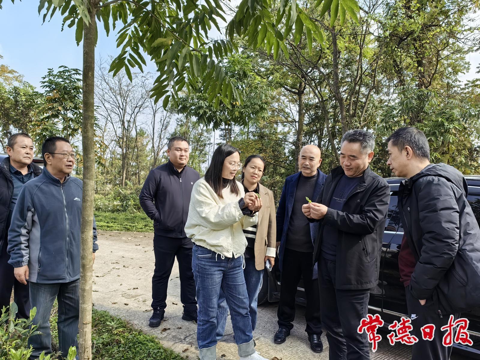 政企聯(lián)合赴石門(mén)縣勝利村調(diào)研產(chǎn)業(yè)幫扶工作